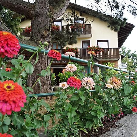 Hotel-Landgasthof Henghuber Roetz Exterior photo